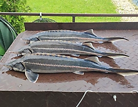 c36be960-7956-466e-b383-3d4f84d75e01