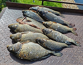 WhatsApp Image 2024-06-27 at 19.39.24