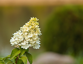AP4I7348