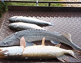 WhatsApp Image 2024-10-19 at 18.55.41