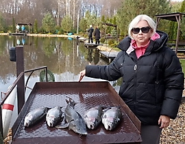 WhatsApp Image 2024-10-19 at 18.55.43