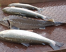 WhatsApp Image 2024-10-19 at 18.55.46 (3)