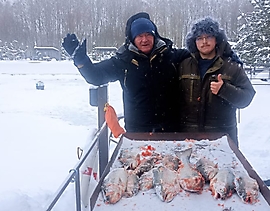 15 декабря