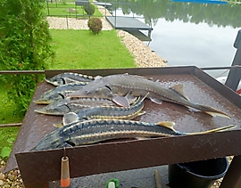 WhatsApp Image 2025-08-23 at 18.17.42